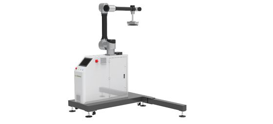 로보틱 팔레티징 WP-20 중국산업로봇 30kg 솔루션 제공자